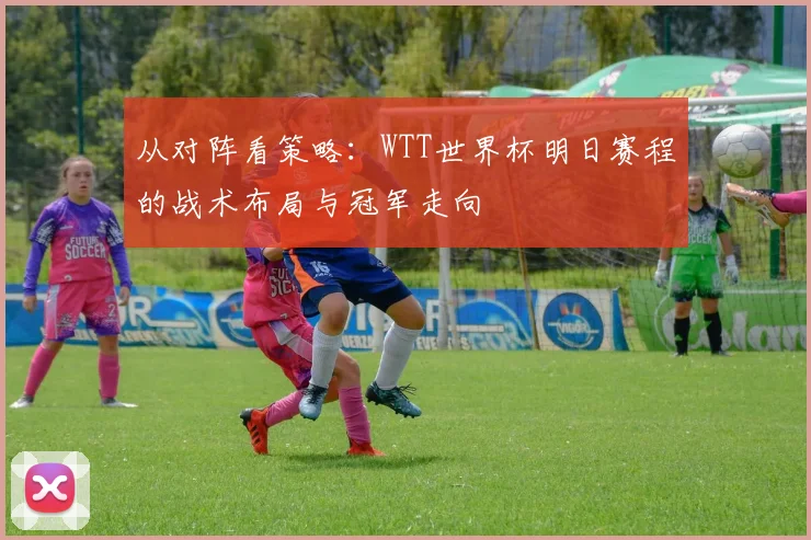 从对阵看策略：WTT世界杯明日赛程的战术布局与冠军走向