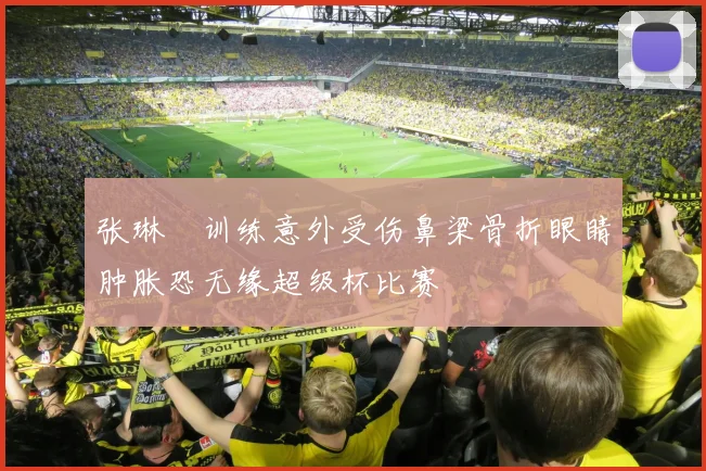 张琳芃训练意外受伤鼻梁骨折眼睛肿胀恐无缘超级杯比赛