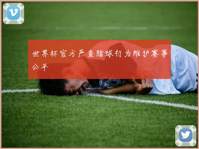 世界杯官方严查赌球行为维护赛事公平