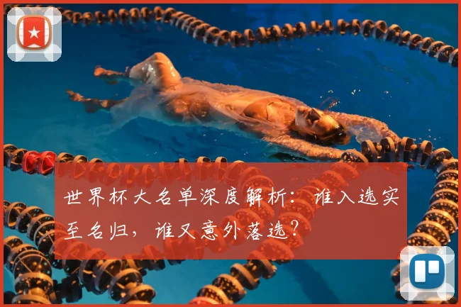 世界杯大名单深度解析:谁入选实至名归,谁又意外落选?