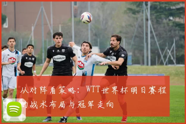 从对阵看策略:WTT世界杯明日赛程的战术布局与冠军走向