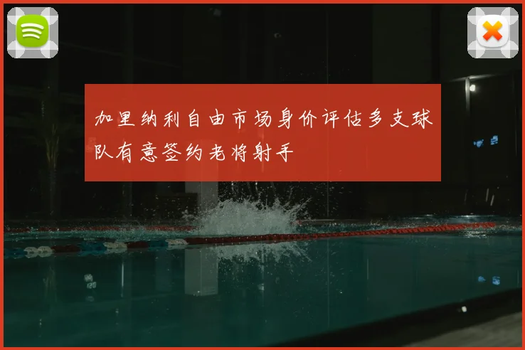 加里纳利自由市场身价评估多支球队有意签约老将射手