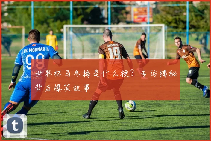 世界杯马冬梅是什么梗？专访揭秘背后爆笑故事