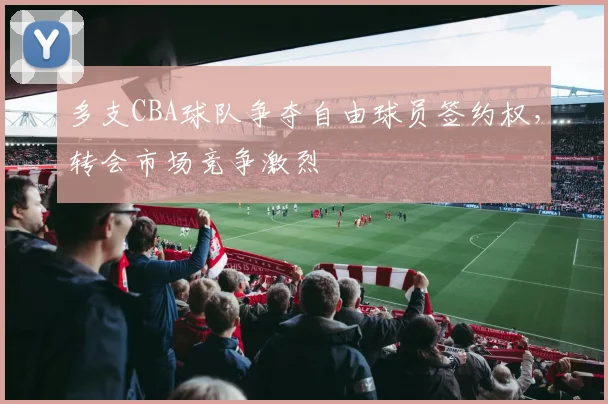 多支CBA球队争夺自由球员签约权，转会市场竞争激烈