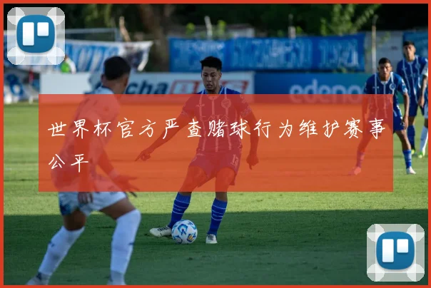 世界杯官方严查赌球行为维护赛事公平