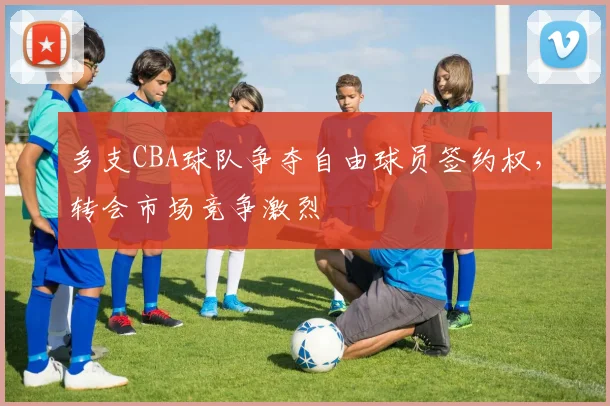 多支CBA球队争夺自由球员签约权，转会市场竞争激烈