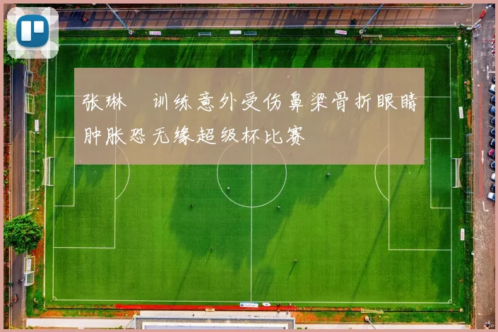 张琳芃训练意外受伤鼻梁骨折眼睛肿胀恐无缘超级杯比赛