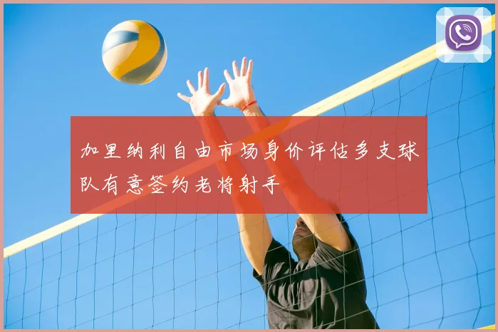 加里纳利自由市场身价评估多支球队有意签约老将射手