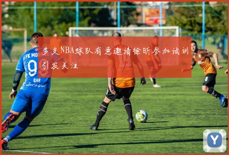 多支NBA球队有意邀请徐昕参加试训引发关注